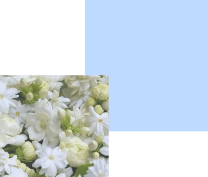 美容液泡ソープG